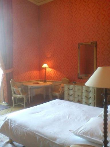 Chateau Du Marechal De Saxe Yerres Номер фото